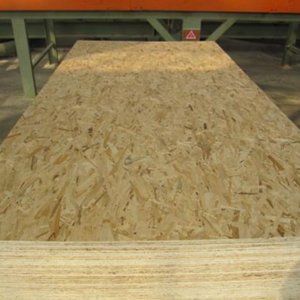 Tablero <span class=keywords><strong>OSB</strong></span> de Álamo y Pino Duradero al por Mayor, Tablero de Fibras Orientadas 4x8 para Embalaje, Construcción y Materiales de Construcción de Viviendas - Product Image 5