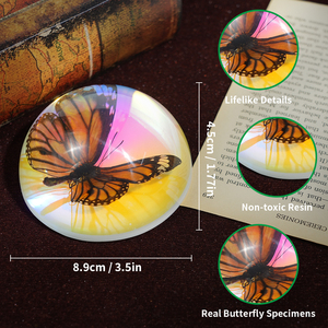 Presse-papiers en résine artisanale à bas prix avec véritable papillon, artisanat animalier pour décoration de bureau, art populaire, nouveauté, art exquis, <span class=keywords><strong>jouets</strong></span> éducatifs - Product Image 2