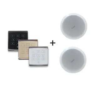 Amplifier pasang dinding Mini, sistem musik latar belakang teater Audio rumah Bluetooth 2 saluran 25W, Amplifier BT dengan 2 buah speaker langit-langit 6 inci