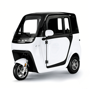Vélos de tricycle électriques à trois roues EEC COC L2e nouvelle licence de passager d'énergie <span class=keywords><strong>scooter</strong></span> de mobilité fermé gratuit prix bas pour des adultes - Product Image 1