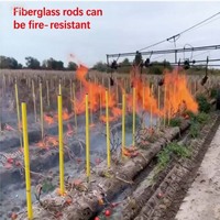 Piquets de Soutien pour Plantes en Fibre de Verre FRP GRP Résistants aux UV, Piquet d'Arbre en Fibre de Verre 3K Veil