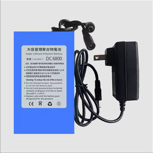 65cm sac à dos 3D hologramme Led ventilateur Portable 3D holographique publicité Machine marche publicité sac à dos avec batterie - Product Image 6