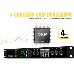 Recordio GAX-4II Procesador DSP Profesional de Reverberación Digital y Multiefectos, Ecualizador Activo Estéreo, Micrófono Vocal Metálico - Product Image 6