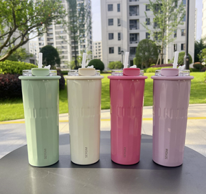 500Ml Dubbelwandige Vacuümlekvrije Roestvrijstalen Reiswaterfles Koffiebekers Met Rieten Beker Voor Commerciële Geschenken - Product Image 1