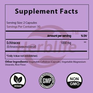 Cápsulas de Equinácea de Marca Privada OEM ODM (1000 Mg), Apoya la Salud y el Bienestar, Suplemento de Extracto Herbal de Raíz de Equinácea, Vegano - Product Image 2