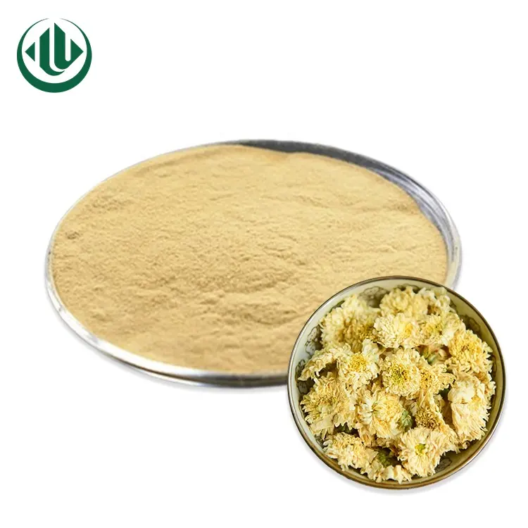 Hersteller Direct Chrys anthemum Tea Instant pulver Hangzhou White Chrys anthemum Extract