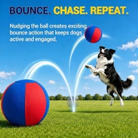 Ballon de dressage pour chiens et chevaux Leadershow, taille personnalisée, en nylon coloré, résistant et rebondissant, jouet sportif, best-seller