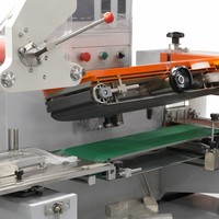 Machine de remplissage automatique à double tête haute vitesse en acier inoxydable 316L pour shampoing, crème, huile et liquides chimiques
