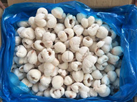 Iqf Bevroren Hele Lychee Gepeld Bevroren Fruit Bulk Verpakte Premium Kwaliteit Voor Culinair Gebruik