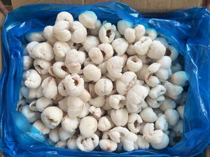 Iqf đông lạnh toàn bộ vải thiều bóc vỏ trái cây đông lạnh đóng gói số lượng lớn chất lượng cao cấp cho sử dụng ẩm thực - Product Image 2