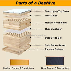 Imkerei-Werkzeuge zum Fabrikpreis: 2-stöckige Bienenstöcke mit 10 Rahmen aus Zedernholz, Standard-Bienenstöcke für chinesische und italienische Bienen - Product Image 4