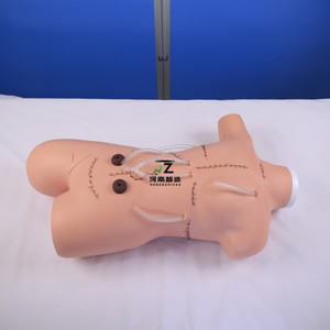 Modelo de entrenamiento médico humano sutura quirúrgica y vendaje maniquí de enfermería - Product Image 3