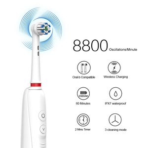 <span class=keywords><strong>Spazzolino</strong></span> <span class=keywords><strong>elettrico</strong></span> <span class=keywords><strong>elettrico</strong></span> <span class=keywords><strong>elettrico</strong></span> con testina rotante dentale dentale <span class=keywords><strong>B</strong></span> rotante rotatoria con etichetta privata - Product Image 2