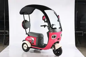 2024 New Latest Tricycles Latest Tricycles Tricycle Electric Bike With Rain Cover