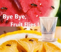 Piège à mouches domestiques réutilisable en plastique pour intérieur, attrape-insectes vivants, piège à mouches à fruits