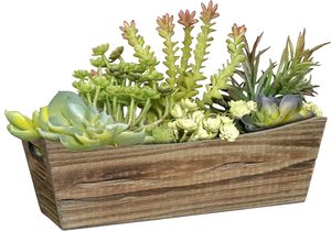 Jardinière classique <span class=keywords><strong>en</strong></span> <span class=keywords><strong>bois</strong></span> avec poignée, couleur marron buffle, <span class=keywords><strong>pour</strong></span> patio, jardin, véranda, décoration intérieure - Product Image 4