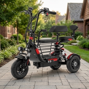 Triciclo Casual Modelo Y3 de 600W y 48V con Batería de Litio y Marco de Acero para Exportación Transfronteriza; Fábrica Directa en China OEM/ODM Y3 600W Moto - Product Image 5