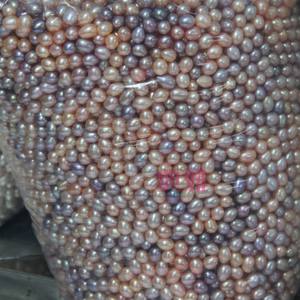 ไข่มุกอะโกย่าธรรมชาติจากน้ำทะเล ขนาด 8-9 มม. สีขาวจูจิ ไม่มีการจับคู่สี แท้ หลายสี แสงสว่างดี รูปทรงกลมสมบูรณ์แบบ ใกล้เคียงกับไร้ตำหนิ - Product Image 4