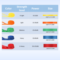 Jeu de 5 bandes élastiques de résistance en boucle TPE avec logo personnalisé pour les exercices de Pilates et de gymnastique