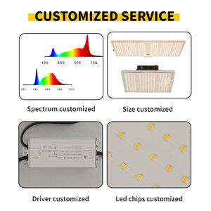 ไฟส่องสว่าง LED ควอนตัมกลางแจ้งสำหรับพืชในร่มเรือนกระจก600W เต็มสเปกตรัม LED เติบโตด้วย Lm301h <span class=keywords><strong>Samsung</strong></span> - Product Image 3