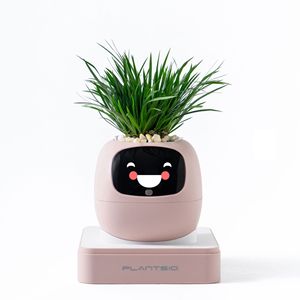Série de pots de fleurs intelligents IVY Plant Cute Pet Robot, en plastique, avec écran LCD, décoration de table, jouet électronique IA, cadeau créatif pour les fêtes - Product Image 2