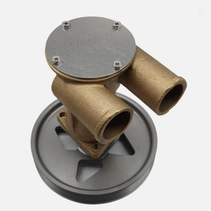 Pompe à eau de mer 21141637 JPR-VP0030DA pour D3-110I-A D3-130I-B D3-160I-B - Product Image 1