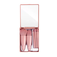 Portable 5 pièces multi-fonction Dailyloose pinceaux de maquillage ensemble poudre douce Blush fond de teint pinceaux ombre à paupières avec miroir utilisation du visage