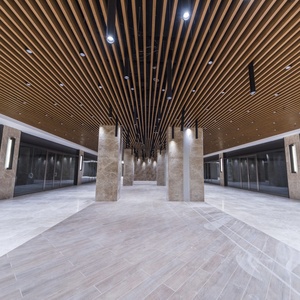 Ce chứng nhận hiện đại nhôm vách ngăn gạch Trần Hệ thống chống cháy âm thanh hấp thụ kim loại trang trí treo trần cho trung tâm mua sắm - Product Image 1