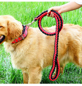 Coleira de Algodão Ajustável e Sem Emaranhados para Passeio de Animais de Estimação, Ideal para Cães Grandes - Product Image 1