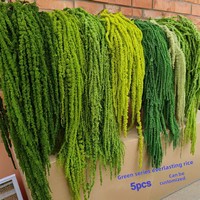 5 Buah Amaranthus Caudatus Buatan Tangan Yang Diawetkan-Amaranth Gantung Abadi (Tanaman Alami) Dekorasi Pernikahan Rangkaian Bunga