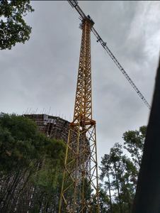 Grúa Torre Sin Plataforma 6015 de 8 Toneladas, Confiable y Duradera, en Venta - Product Image 4