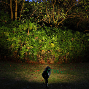 深圳工厂 IP65 防水 <span class=keywords><strong>LED</strong></span> 射灯 3W-60W 可调光束角 节能 与 Alexa Google Home 控制兼容 - Product Image 4