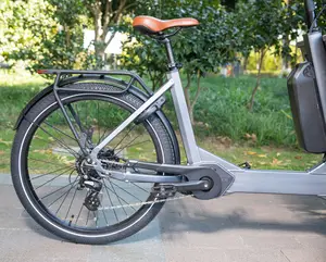 베스트 셀러 전기화물 자전거 네덜란드 2 륜 가족 자전거 2 륜 자전거