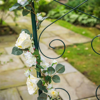 Pergola de jardin rectangulaire moderne en fer pour plantes grimpantes avec finition thermolaquée pour mariage et fête