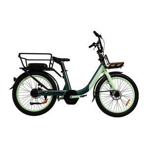 Bicicleta Eléctrica Urbana de 24 Pulgadas con Batería de Litio de 250w para Mujer, en Oferta - Product Image 6