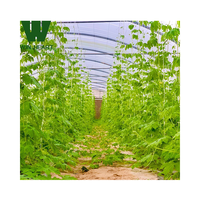 Équipement agricole Serre tunnel cerceau commercial serre cerceau maison