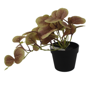 <span class=keywords><strong>Sen</strong></span> Masine realista 30cm pequeña vegetación Artificial hojas falsas <span class=keywords><strong>planta</strong></span> de dinero de imitación para el hogar Mesa de Oficina Decoración colgante interior - Product Image 2