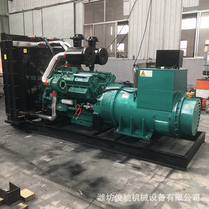 เครื่องกำเนิดไฟฟ้าดีเซล Steyr 200 กิโลวัตต์ 1500 รอบต่อนาที 50 เฮิรตซ์ 230/400 โวลต์ รุ่นกันฝนแบบวางบนชั้นวาง - Product Image 4