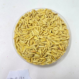 Semences de riz IPB 13S Benih 100% haut rendement, récolte précoce en 85 jours, fournisseur Botani Seed Indonésie - Product Image 2