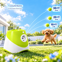 Lanceur automatique de balles pour animaux de compagnie, jouet interactif pour animaux de compagnie avec balles de tennis, accessoires pour animaux de compagnie, machine à lancer des balles pour chiens