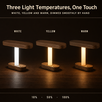 Lampe de chevet suspendue avec porte-bijoux en noyer massif, trois couleurs, intensité réglable, rechargeable, décoration d'intérieur, design Art Déco
