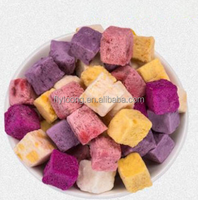 Gefreeze-droogde yoghurtblokjes met echt fruit - Gezonde & heerlijke snack voor kinderen en volwassenen