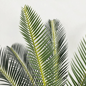 All'ingrosso su larga scala di simulazione verde pianta di ferro albero singolo ramo di cocco artificiale foglia di cocco decorazione interna <span class=keywords><strong>palma</strong></span> - Product Image 4
