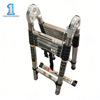Échelle télescopique en acier inoxydable 2,5+2,5 mètres, pliable, multifonctionnelle, épaissie, renforcée, antidérapante