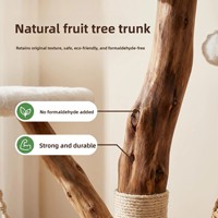 Tmall Fruitwood Arbre à chat en bois massif avec panier suspendu, lit en rotin tressé et griffoir recouvert de sisal, style épuré