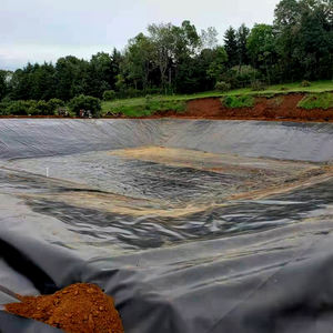 Géomembrane HDPE traitée anti-UV de 0,5 mm et 0,75 mm pour bassin à poissons, revêtement de sol, drainage inférieur, lagune, barrage de rivière - Product Image 2