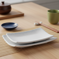 Vente en gros d'usine, nouvelle assiette à sushi en mélamine de forme irrégulière pour restaurants
