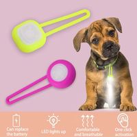 Pendentif lumineux pour chien de haute qualité personnalisé, multicolores, pour l'extérieur, LED pour chien, lumière de marche nocturne pour chien, silicone