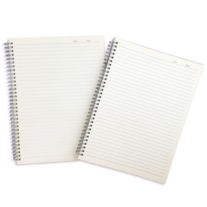 Cuadernos Creativos A4 para estudiantes, color blanco, venta al por mayor de fábrica, cuadrícula plateada de doble bobina con cubierta de PP - Product Image 1