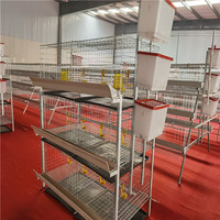 Cage d'élevage de cailles de poulet de batterie de type A entièrement automatique 5000 poulets en acier à mailles de type H nouvelle condition pour la conception de ferme avicole
